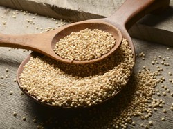 4 Fakta Sorgum yang Akan Dipakai Sebagai Bahan Mie Instan