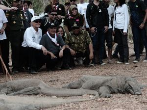 Jusuf Kalla: Tarif Rp 3,75 ke Pulau Komodo Perlu Dievaluasi Jusuf Kalla: Tarif Rp 3,75 ke Pulau Komodo Perlu Dievaluasi