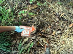 Misteri Tengkorak dan Penumpang Terakhir Ojek Salman di Sukabumi