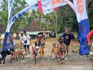 Karnaval Unik Meriahkan HUT RI ala Warga Ketro Wonogiri, Pesertanya Kambing!