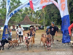 Karnaval Unik Meriahkan HUT RI ala Warga Ketro Wonogiri, Pesertanya Kambing!