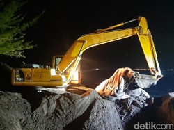 Bangkai Paus yang Terdampar di Banyuwangi Dikubur