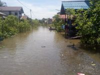 Berita Dan Informasi Banjir Kalimantan Barat Terkini Dan Terbaru Hari ...