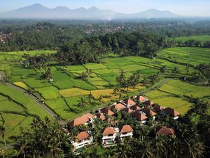 Resort di Tengah Sawah Ubud yang Asri dan Hijau, Cocok Buat Honeymoon! Resort di Tengah Sawah Ubud yang Asri dan Hijau, Cocok Buat Honeymoon!