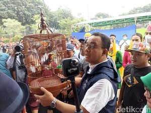 Anies Bawa Burung Anis Merah Ikut Lomba Berkicau Anies Bawa Burung Anis Merah Ikut Lomba Berkicau