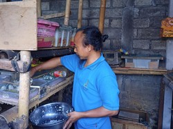 Bisnis Tikus Putih, Pria di Karangasem Raup Cuan Jutaan Rupiah