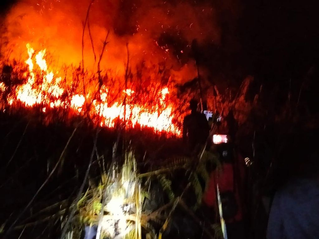 Perbukitan di Samosir Dilahap Si Jago Merah, Diduga Dibakar!