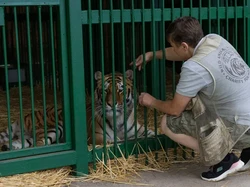 Kisah Perempuan Selamatkan Hewan Terlantar di Perang Ukraina-Rusia