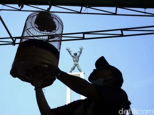 Pecinta Burung Aduan Tumpah Ruah di Lapangan Banteng