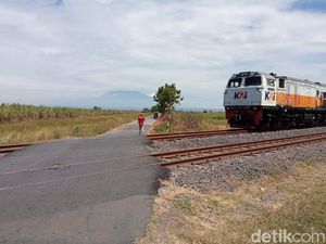 7 Tips Aman Berkendara Saat Melewati Pelintasan Kereta Api 7 Tips Aman Berkendara Saat Melewati Pelintasan Kereta Api