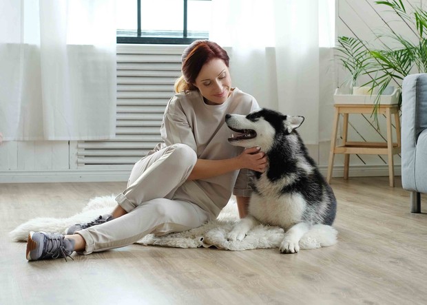 rumah aman untuk hewan peliharaan/ Foto: freepik/ Racool_studio rumah aman