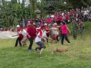 Lomba Layangan-Ngejuk Kucit Meriahkan HUT RI di Desa Sangketan Tabanan Lomba Layangan-Ngejuk Kucit Meriahkan HUT RI di Desa Sangketan Tabanan