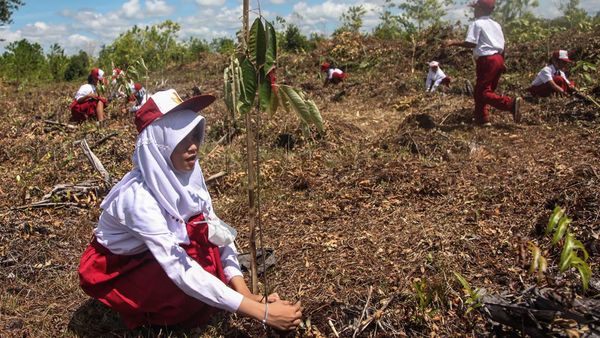 Menyulap Lahan Gambut yang Gersang Jadi Media Belajar yang Asyik