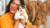 Hari Kucing Sedunia, Intip Foto 7 Artis Indonesia dan Kucingnya Bikin Gemas