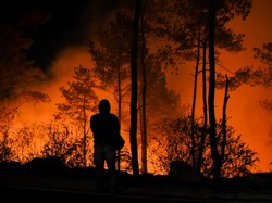 Kota di Rusia Umumkan Keadaan Darurat Kebakaran Hutan