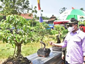 Seni Bonsai, dari Sampah Menjadi Rupiah
