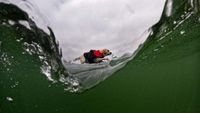 Aksi Seru Anjing-anjing yang Jago Surfing, Kamu Pasti Kalah
