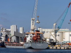 Ribuan Ton Pangan dari Ukraina Dibongkar Muat di Pelabuhan Lebanon