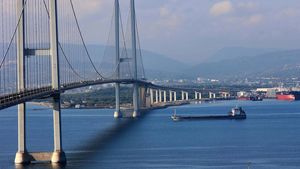 Kapal Kargo Angkut Gandum Ukraina Tiba di Turki