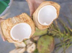 Air Kelapa Thailand Disebut Paling Enak, Ini 4 Manfaat Sehatnya