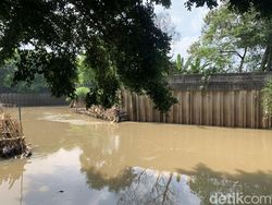 Pekan Ini, Alat Berat Mulai Bangun Turap Kali Angke Kembangan Utara