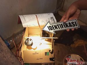 Bocah 7 Tahun di Trenggalek Tewas Tersengat Listrik Boks Ayam
