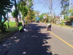 Sopir Mengantuk, Tabrakan Beruntun Libatkan 4 Kendaraan di Jembrana