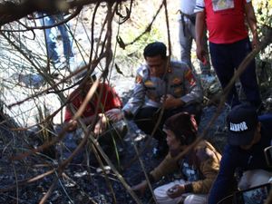 Pembakar Hutan di Danau Toba Tidak Ditahan Polda Sumut, Ini Alasannya