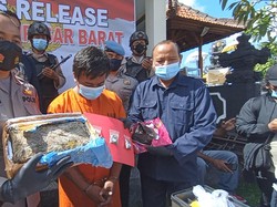 Sekuriti Kos di Denpasar Rendam Ganja dengan Arak-Dicampur Cokelat