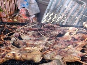 10 Kuliner Manado Nonhalal, Ragey hingga Pangi 10 Kuliner Manado Nonhalal, Ragey hingga Pangi