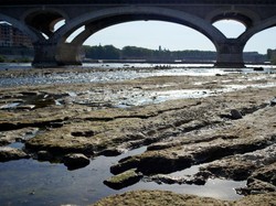 Mengenal Pemanasan Global, Pengertian, Penyebab, dan Upaya Mengatasinya