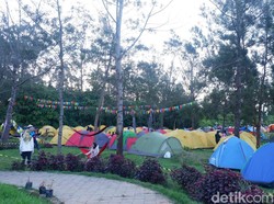 Gaes...Penjualan Tiket Dieng Culture Festival Kembali Dibuka Nih