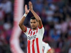 Manchester United Ingin Datangkan Cody Gakpo