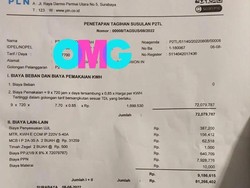 7 Fakta Dokter Surabaya Didenda PLN Rp 80 Juta