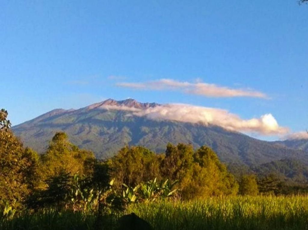 Gunung Raung Waspada, Pendaki Dilarang Rayakan HUT RI di Puncak Sejati Gunung Raung Waspada, Pendaki Dilarang Rayakan HUT RI di Puncak Sejati
