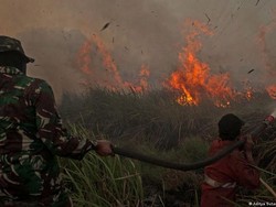 Kisruh Dana Kompensasi Iklim Memuncak Jelang KTT COP27 di Mesir