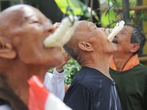 Asal-usul 5 Lomba 17 Agustusan Populer dan Makna di Baliknya Asal-usul 5 Lomba 17 Agustusan Populer dan Makna di Baliknya