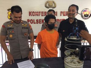 Tukang Ojek di Mataram Ditangkap Polisi Usai Terekam CCTV Curi Burung Tukang Ojek di Mataram Ditangkap Polisi Usai Terekam CCTV Curi Burung