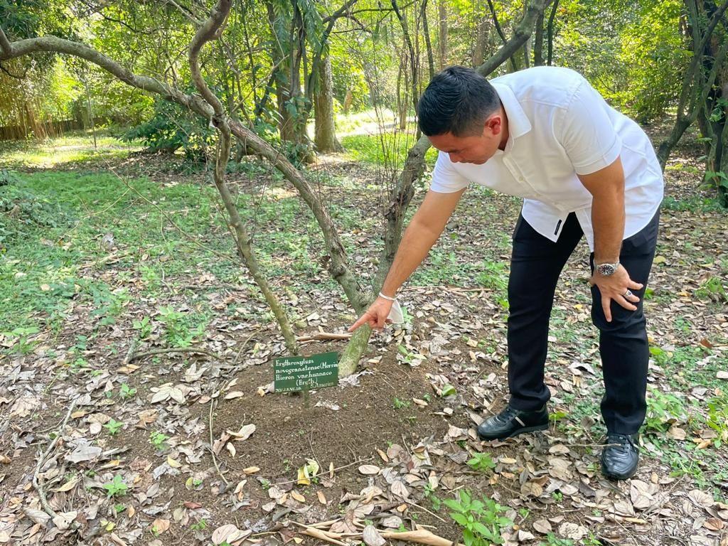 Pengakuan Tersangka Dapat Biji Kokain di Kebun Raya Bogor Terbantahkan Pengakuan Tersangka Dapat Biji Kokain di Kebun Raya Bogor Terbantahkan