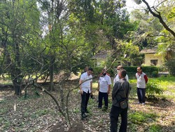 BRIN: Kebun Raya Bogor Tak Koleksi Tanaman Bahan Pembuat Kokain