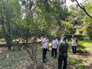 BRIN: Kebun Raya Bogor Tak Koleksi Tanaman Bahan Pembuat Kokain BRIN: Kebun Raya Bogor Tak Koleksi Tanaman Bahan Pembuat Kokain