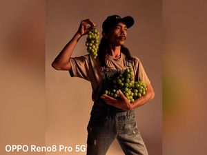 Kegigihan Yatno Gondrong, Sulap Lahan Buangan Sampah Jadi Kebun Anggur Kegigihan Yatno Gondrong, Sulap Lahan Buangan Sampah Jadi Kebun Anggur