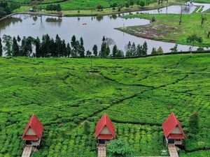 Wisata Puncak Bogor Terbaru: Telaga Saat, Ini Harga Tiketnya! Wisata Puncak Bogor Terbaru: Telaga Saat, Ini Harga Tiketnya!