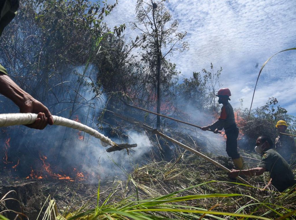 Lihat Aksi Petugas Padamkan Kebakaran Hutan dan Lahan di Samosir