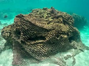 Ekspedisi Pencinta Lingkungan Berburu Jaring Hantu di Laut Hawaii