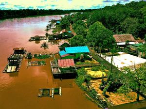 Desa Terpencil Kalimantan Tengah Tak Lagi Gelap Gulita
