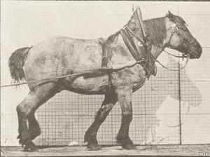 Mengenal Teknik Dusel dari Alat dan Cara Menggambarnya