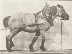 Mengenal Teknik Dusel dari Alat dan Cara Menggambarnya