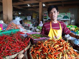 BUMN bakal Beli Cabai Sampai Bawang Merah Petani, APPSI Happy! BUMN bakal Beli Cabai Sampai Bawang Merah Petani, APPSI Happy!
