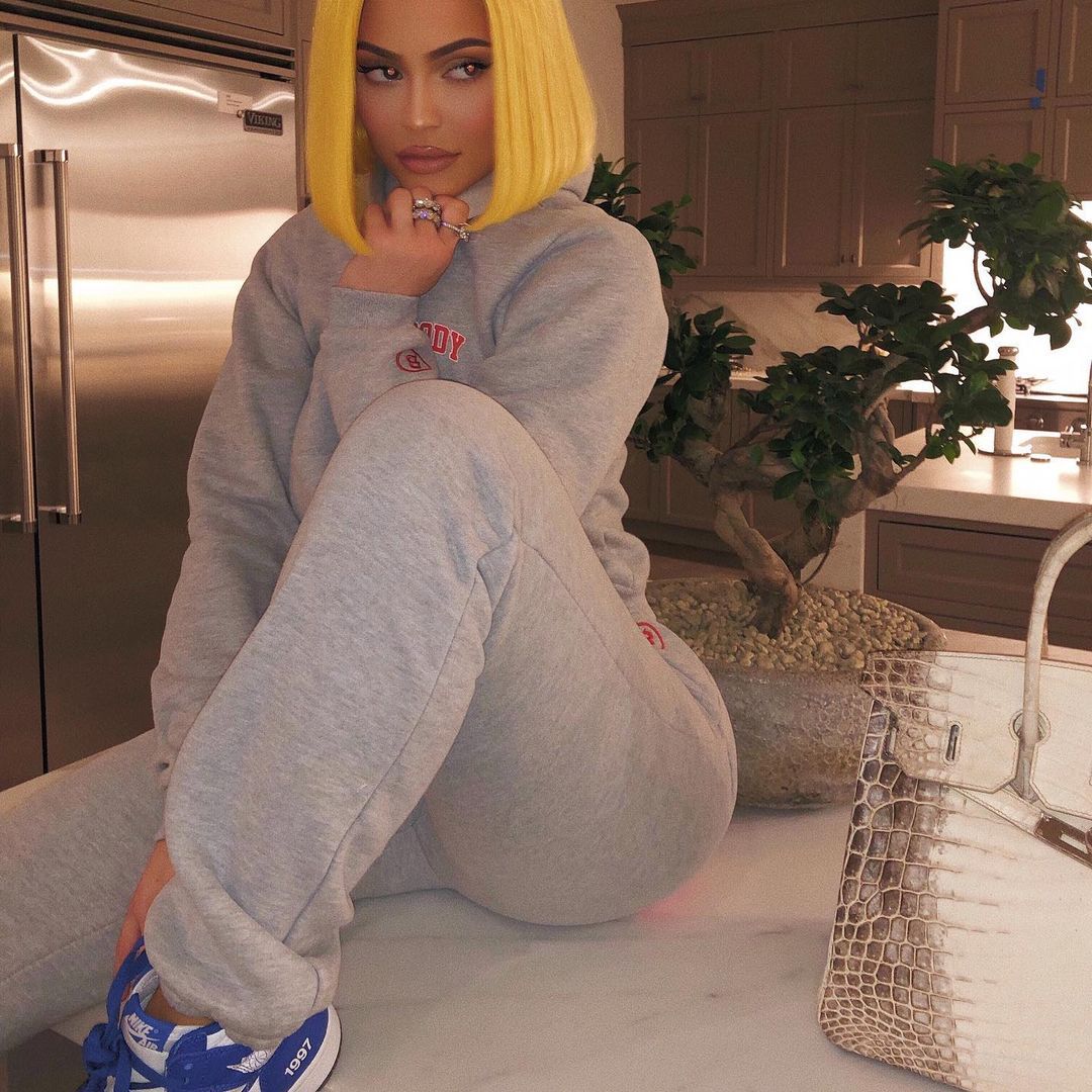 Hermes Birkin Himalayan Niloticus Crocodile